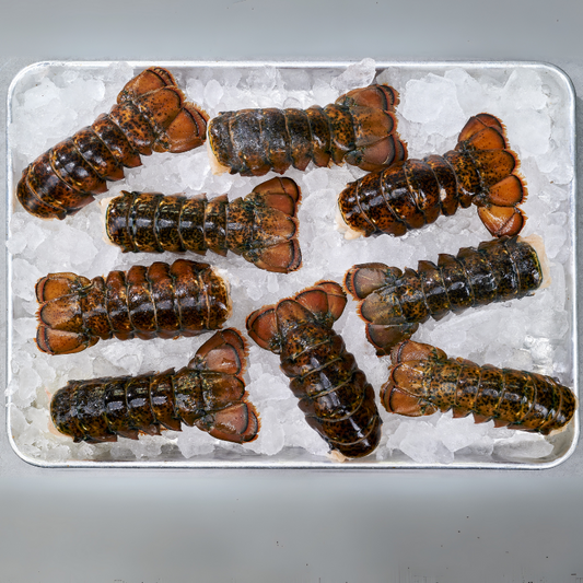 Lobster Tail Party Box-Oceanbox