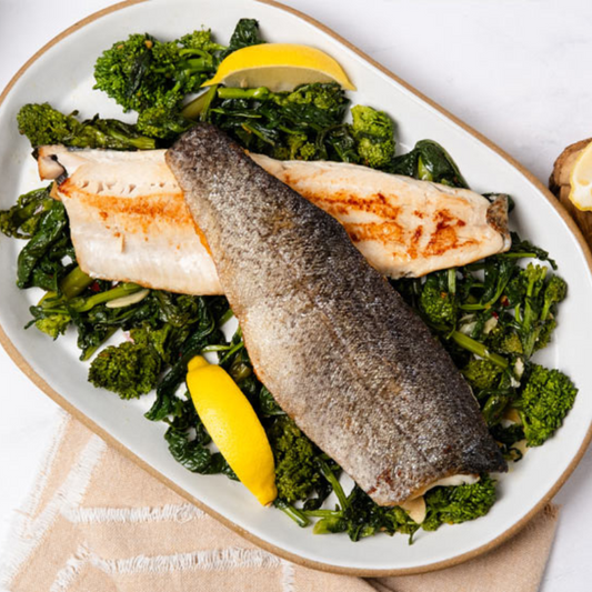 Brook Trout Fillets-Oceanbox