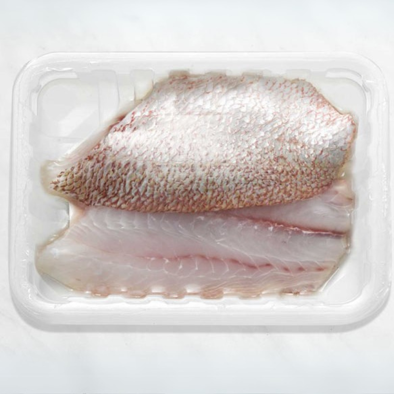 Wild American Red Snapper Portions
