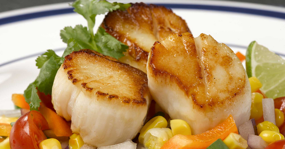 Perfectly Seared Scallops: Your Guide to Gourmet Seafood Success!