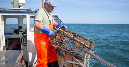 Hooked on Flavor: Your Ultimate Guide to Lobster Fishing and Gourmet Seafood Delivery!