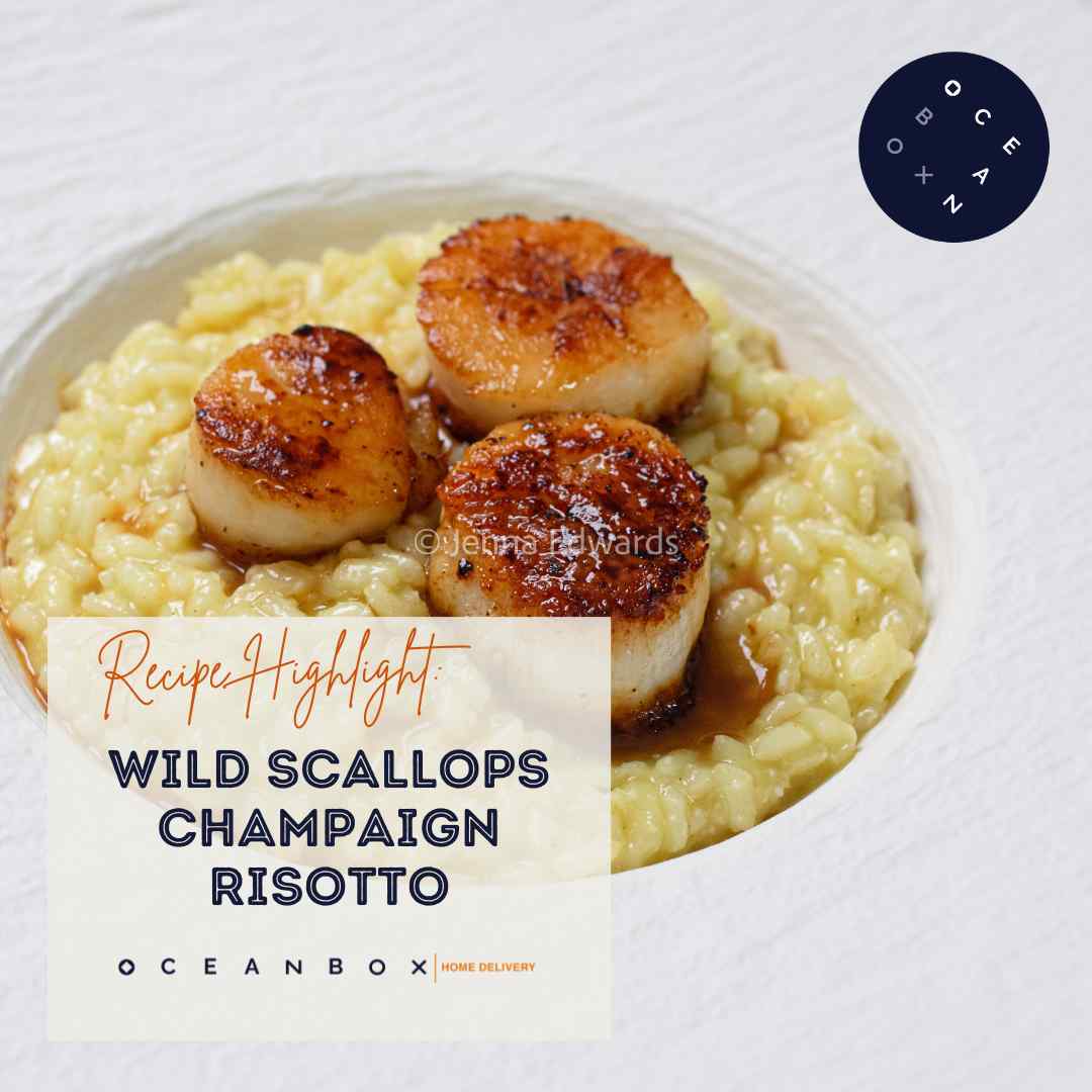 Wild Scallops Champaign Risotto