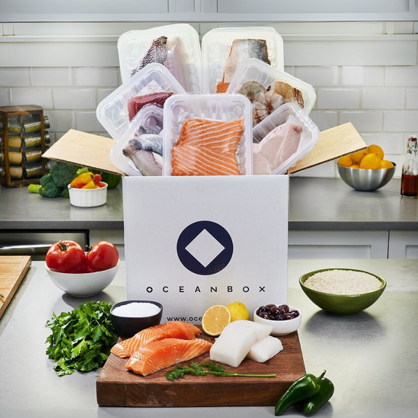 build a fish live box The Mystery Starter Beginner Friendly Freshwater Kit Rob's Aquatics Fish Shop the fun of digging for worms TOMAHAWK FISH LIVE BOX LARGE