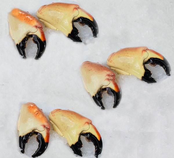 Jumbo Stone Crab Claws (2 lbs)