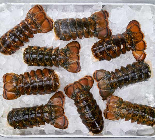 Cold Water Lobster Tail Box