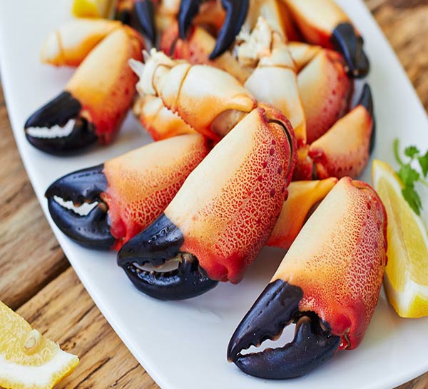 Medium Stone Crab Claws (2 lbs)