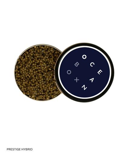 Imported Caviar Gift Set