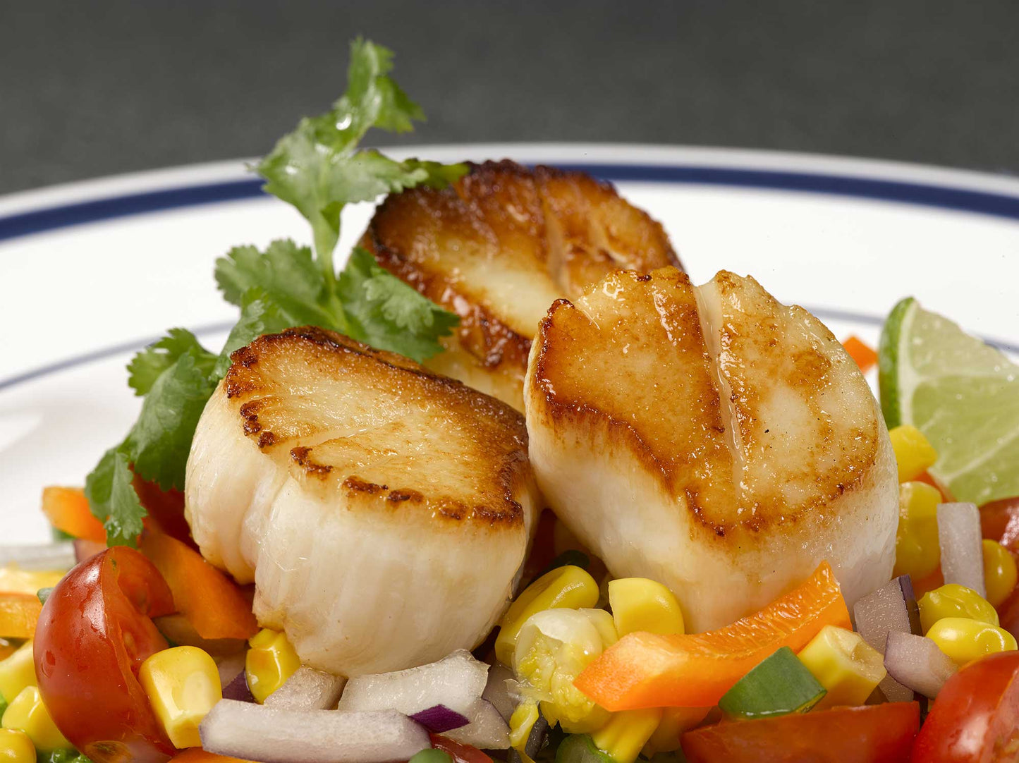 Sea Scallops