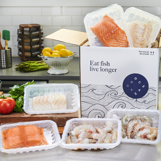 buy luxury fish box Prime Box!" S&J Fisheries No additional filters or heater are needed Fish Box - Amity Fish