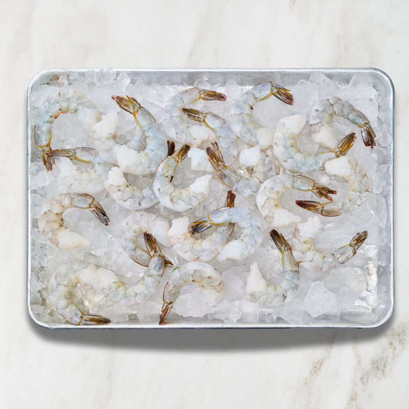 Jumbo Shrimp Box – Oceanbox