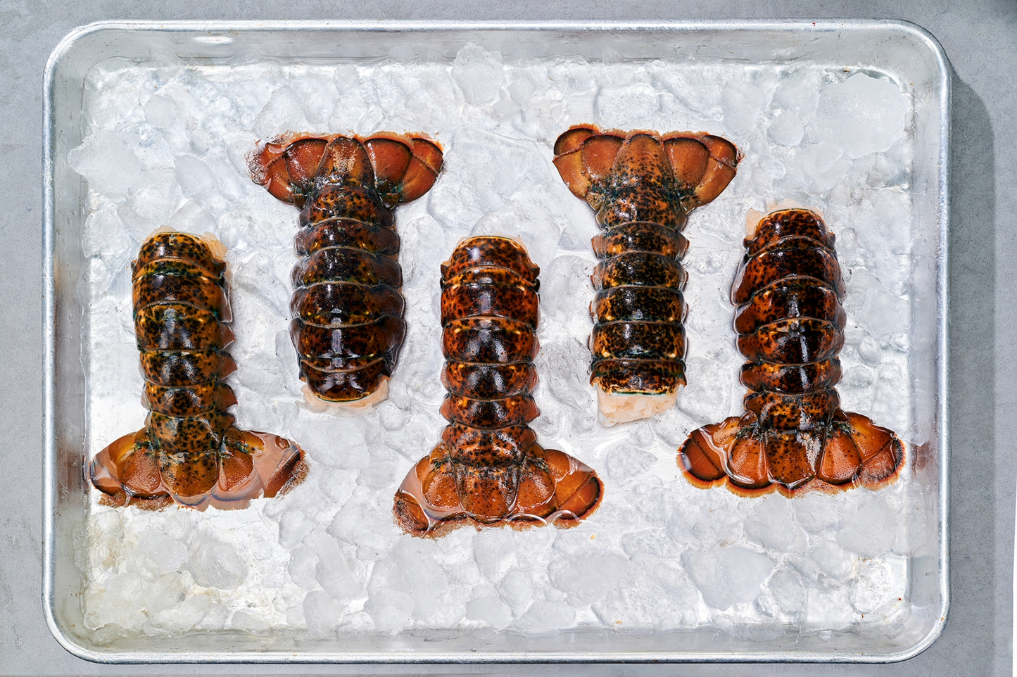 Lobster Tail - 5 pack