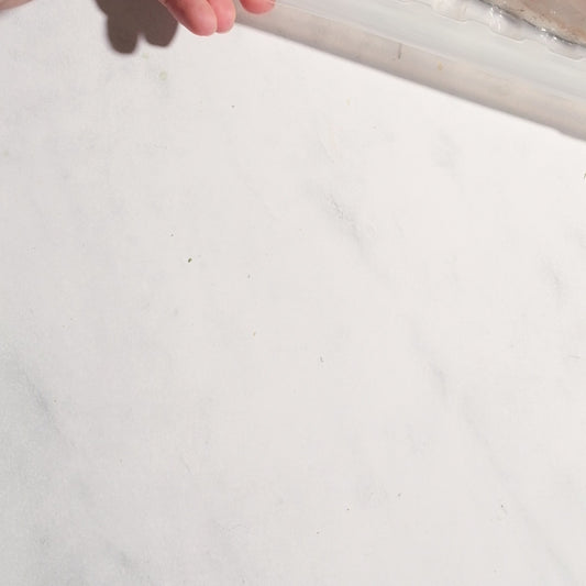 Mediterranean Bronzino Fillets