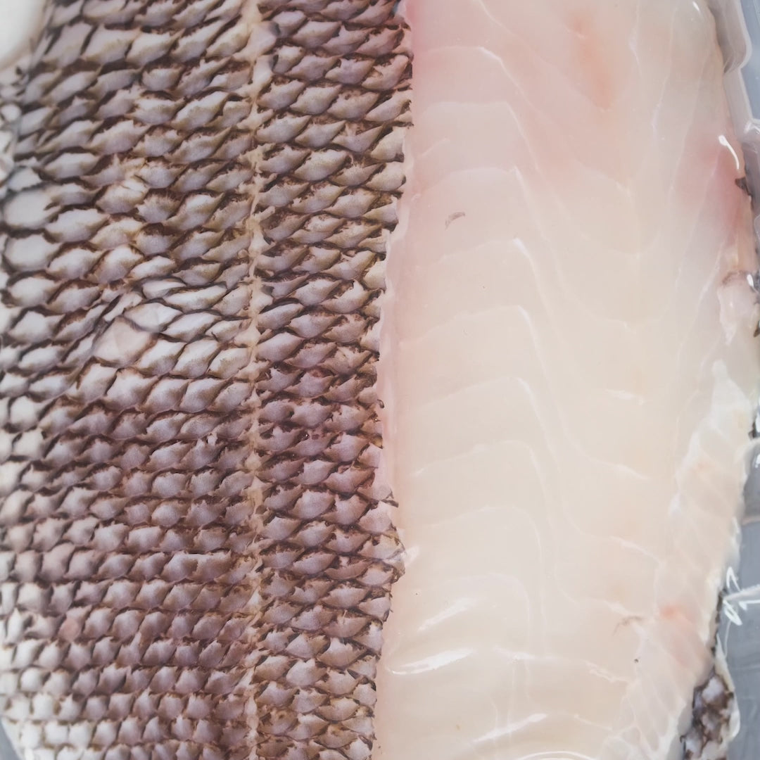 Wild Black Sea Bass Fillets