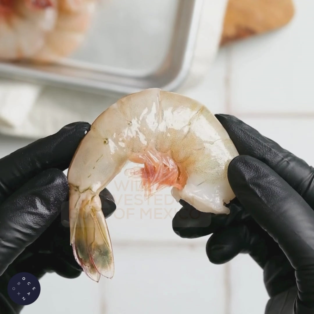 Wild Colossal Shrimp – Oceanbox