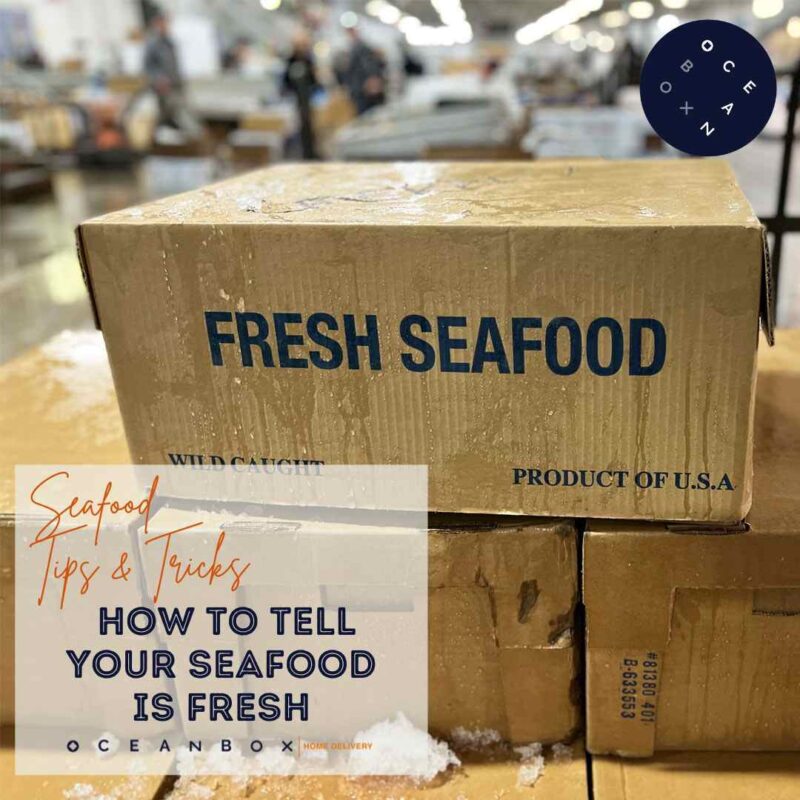 How to Tell if Your Seafood is Fresh